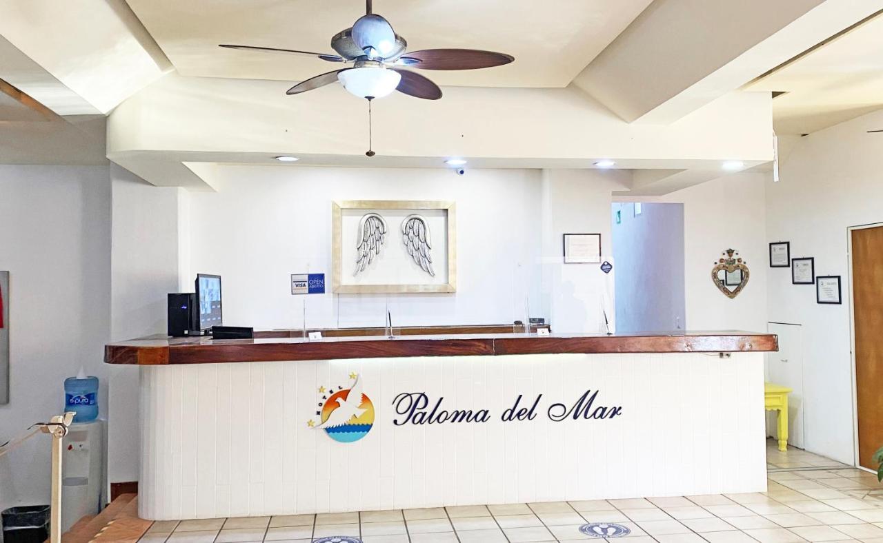Paloma Del Mar (Adults Only) Hotell Puerto Vallarta Exteriör bild